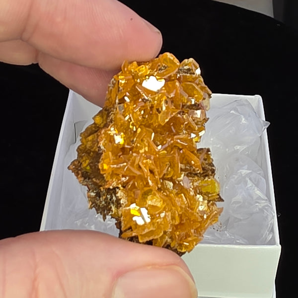 Wulfenite - Erupción Mine, Mexico