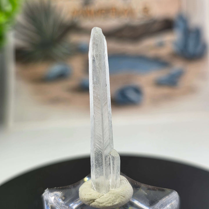 Nifontovite Specimen - Rey y Reina Mine Charcas Mexico displayed on a pedestal with a mineral backdrop.