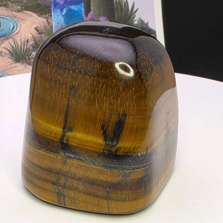Polished Tiger's Eye freeform showing golden chatoyancy and smooth finish, perfect for collectors and decor.