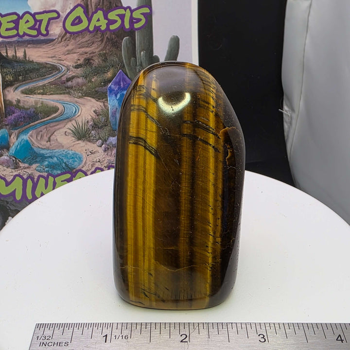 Polished Tiger's Eye Freeform (F)