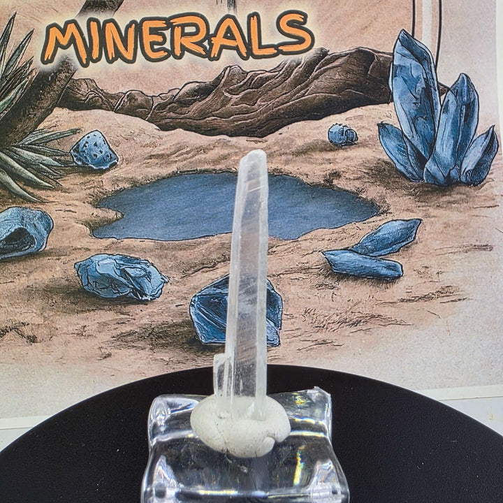 Nifontovite Specimen - Rey y Reina Mine Charcas Mexico displayed on a pedestal with a mineral backdrop.