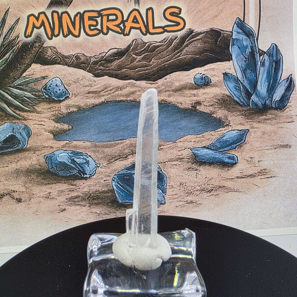 Nifontovite Specimen - Rey y Reina Mine Charcas Mexico