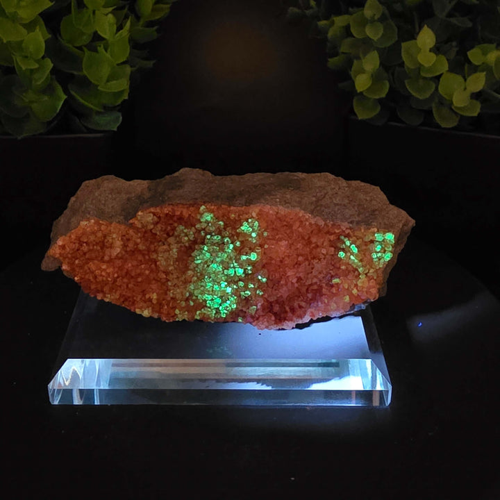 Red Hyalite Opal Specimen Mix from Ojuela Mine