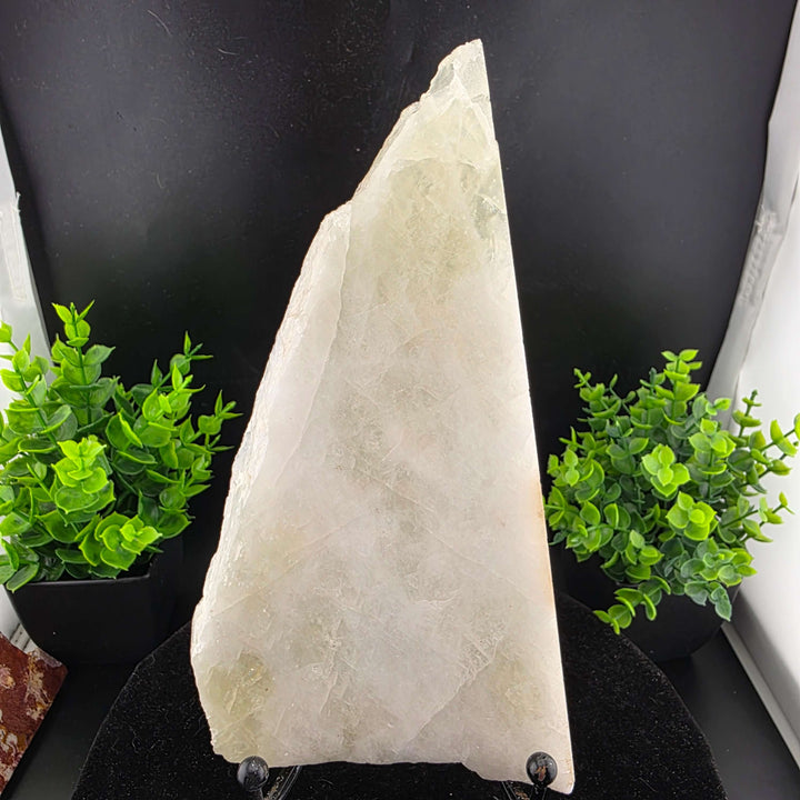 White Quartz Slab / Slice