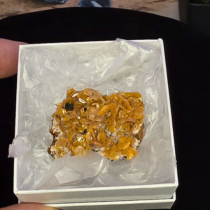 Wulfenite - Erupción-Ahumada Mine, Mexico