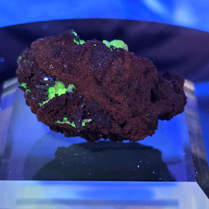 Adamite Specimen: Ojuéla Mine Collector’s Crystal with vibrant green highlights on dark matrix.