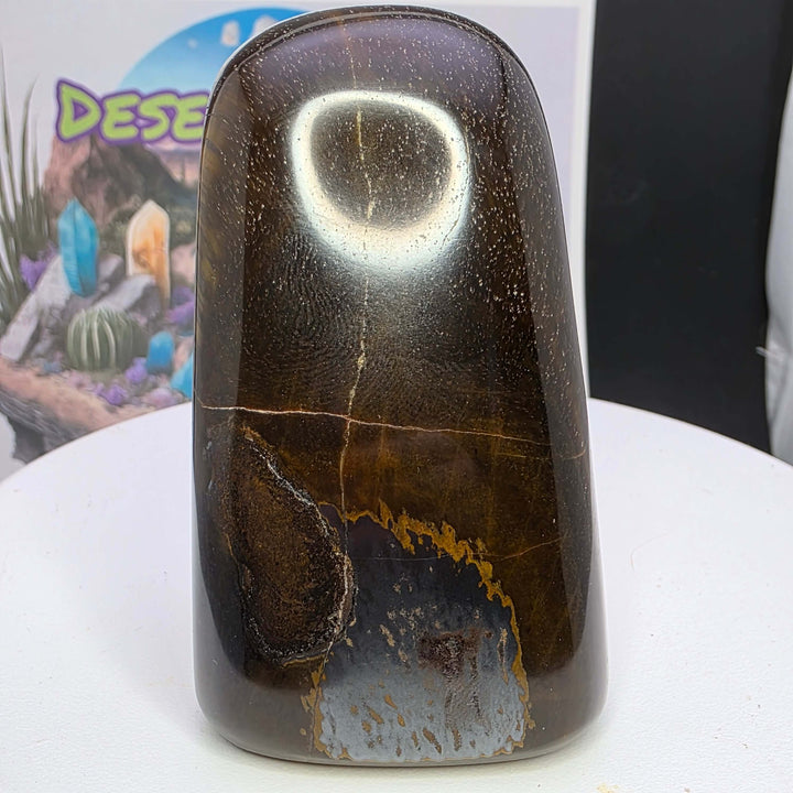 Polished Tiger's Eye freeform stone showcasing golden chatoyancy and smooth finish, perfect for display or collection.