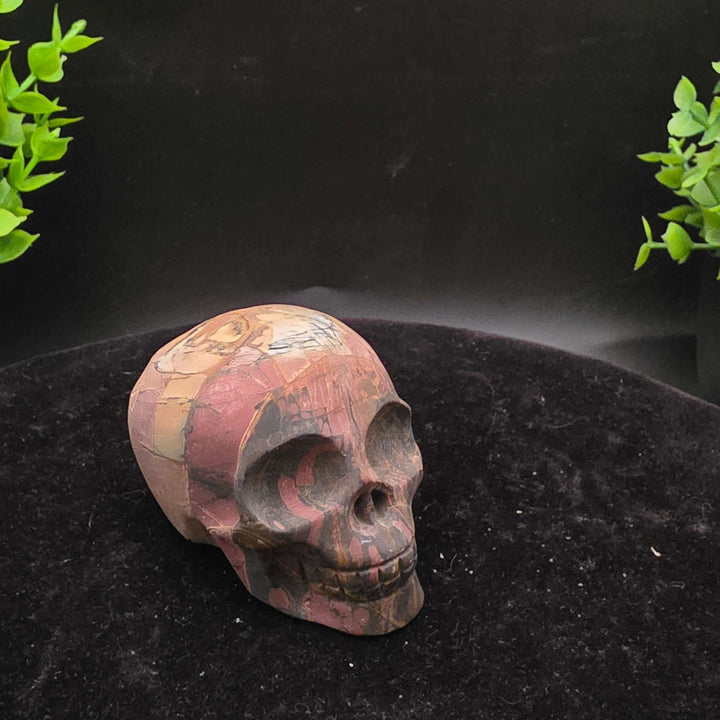 Cherry Creek Jasper skull carving - 2.5 Inch showcasing natural textures and earthy colors with unique patterns.