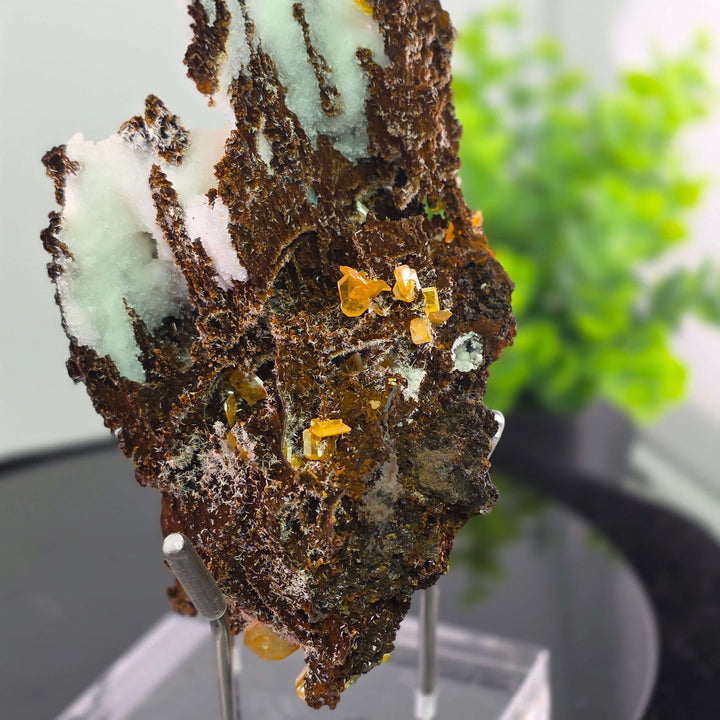 Wulfenite - Erupción-Ahumada Mine, Mexico