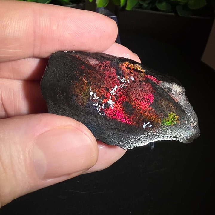 Andamooka Matrix Opal Slab Slice showcasing vibrant colors and natural matrix texture in wet condition