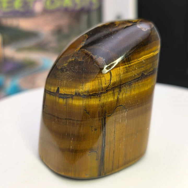 Polished Tiger's Eye freeform showing golden chatoyancy and smooth surface in display setting.