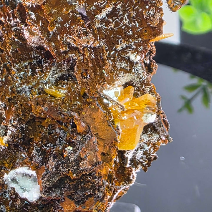 Wulfenite - Erupción-Ahumada Mine, Mexico