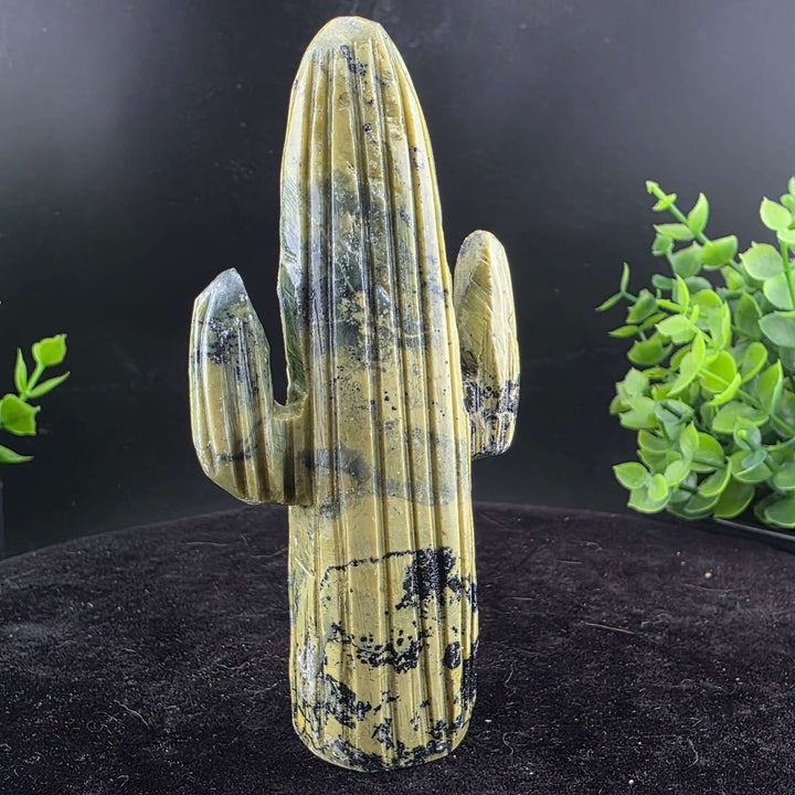 Saguaro Cactus Carving from Peru