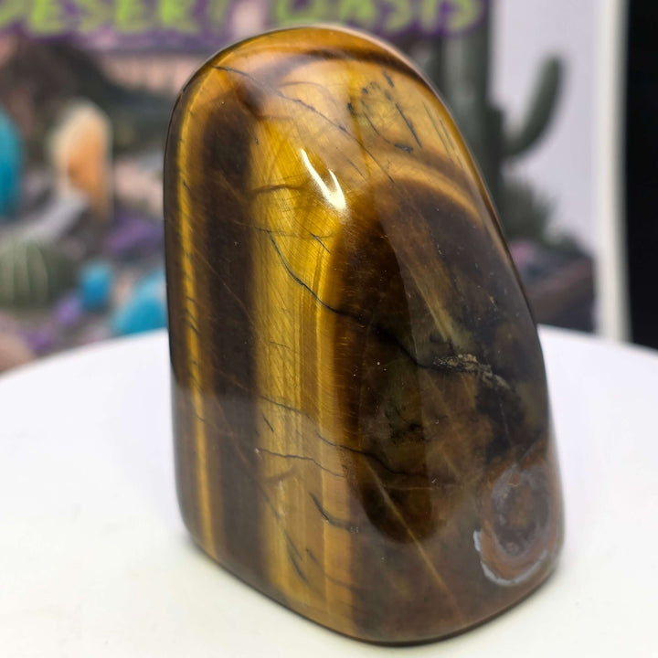 Polished Tiger's Eye freeform showcasing golden chatoyancy and smooth texture.