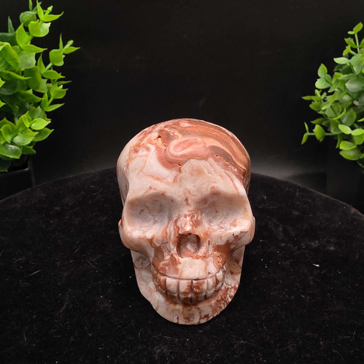 Amber Calcite Skull Carvings - 3 Inch - Stunning hand-carved skulls showcasing warm honey and caramel colors.