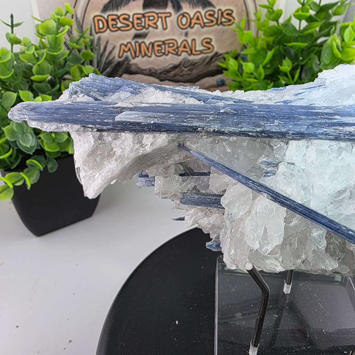 Blue Kyanite - Brazil