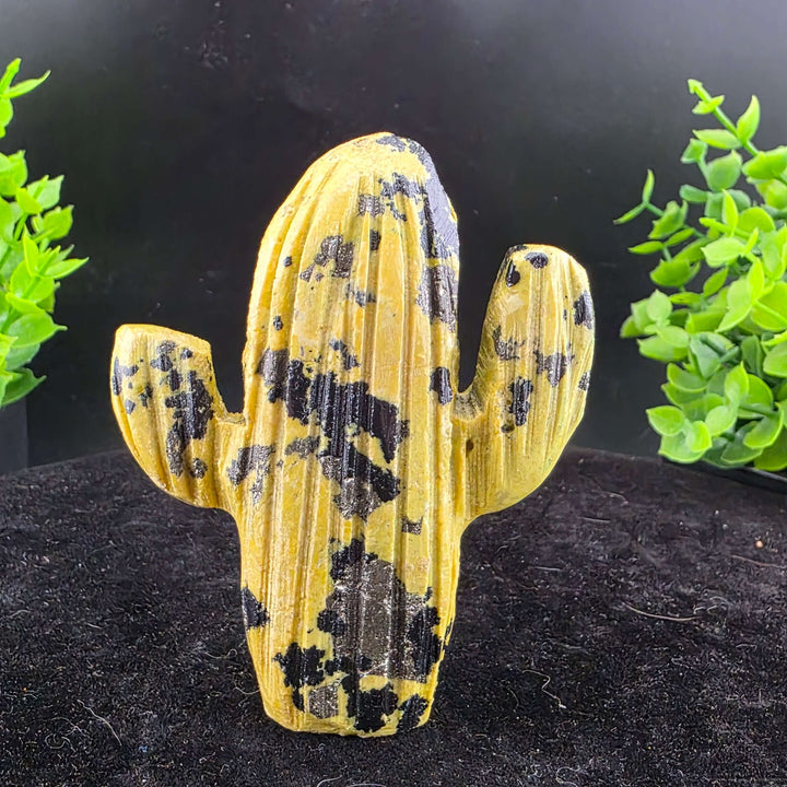 Saguaro Cactus Carving from Peru