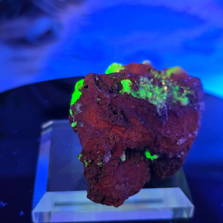 Vibrant Adamite Specimen from Ojuéla Mine exhibiting glowing green crystal formations.