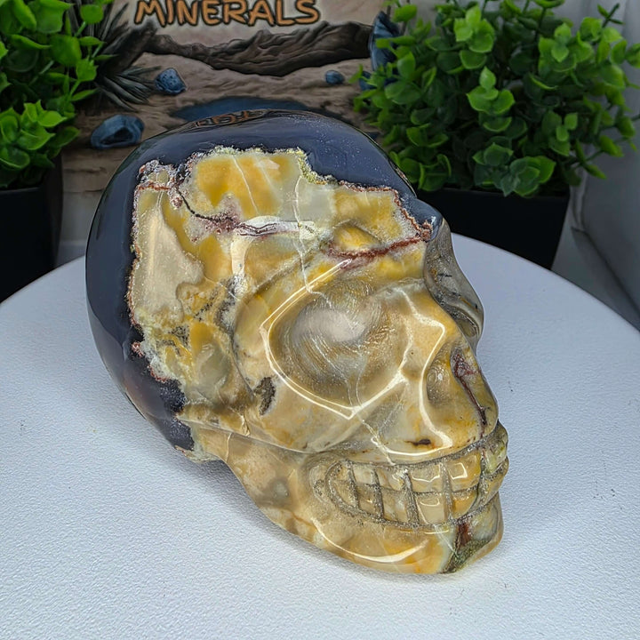 Volcano Agate Skull Carving - 3 inch