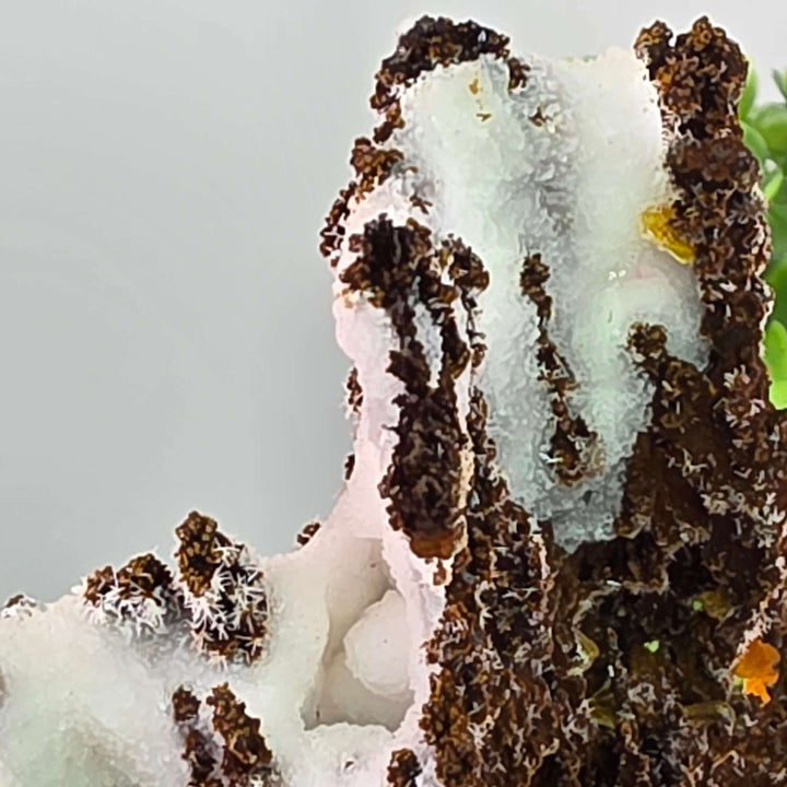 Wulfenite - Erupción-Ahumada Mine, Mexico