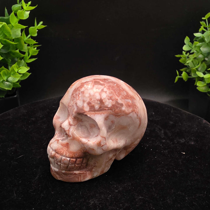 Amber Calcite Skull Carvings - 3 Inch - Stunning hand-carved skulls showcasing warm honey and caramel colors.
