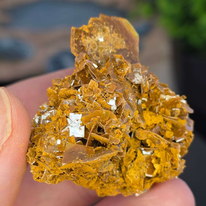 Wulfenite - Erupción-Ahumada Mine, Mexico