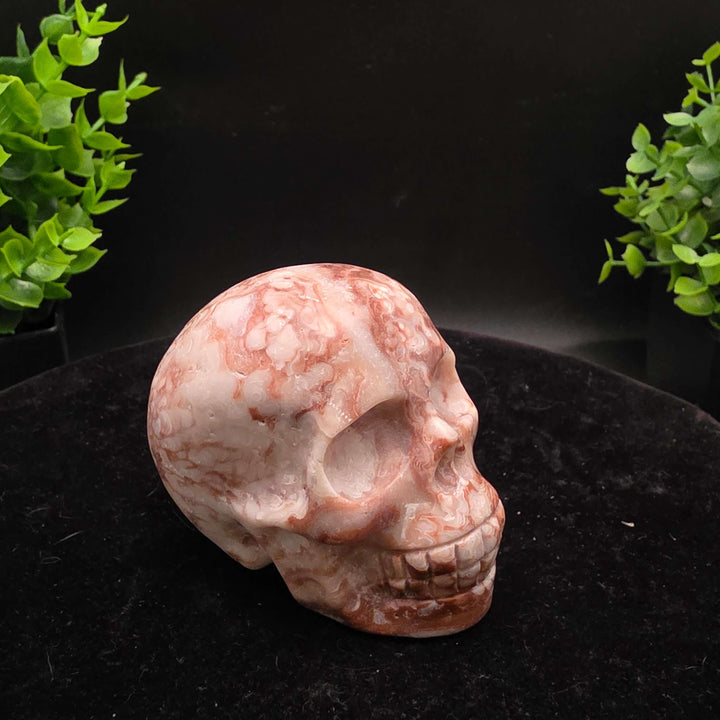 Amber Calcite Skull Carvings - 3 Inch - Stunning hand-carved skulls showcasing warm honey and caramel colors.