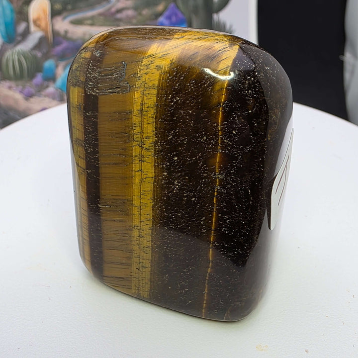 Polished Tiger's Eye freeform showcasing golden chatoyancy and smooth surface, ideal for decor or crystal collection.