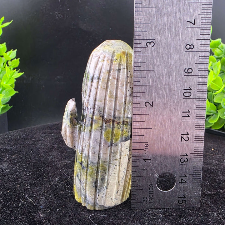 Saguaro Cactus Carving from Peru