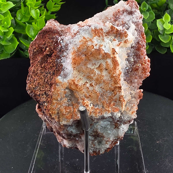 Red Hyalite Opal Specimen Mix from Ojuela Mine