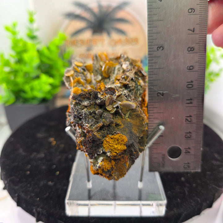Vibrant Wulfenite specimen from Erupción-Ahumada Mine, Mexico, showcasing classic tetragonal crystal habit.