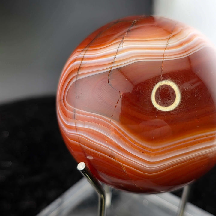 Polished Sard Sphere -56mm