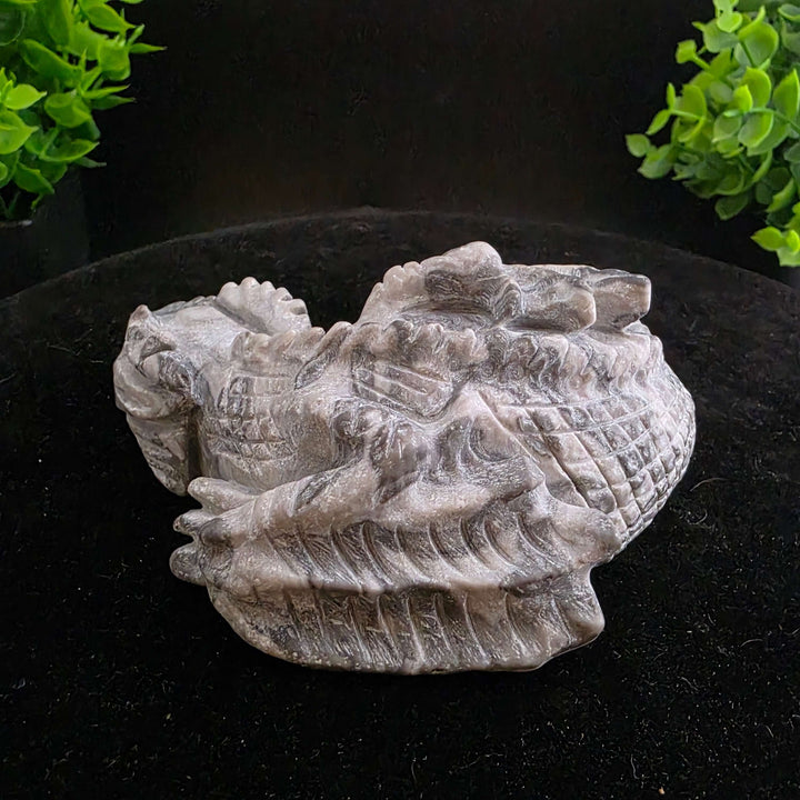 Sleeping Dragon Carvings - Picasso Jasper - 4in