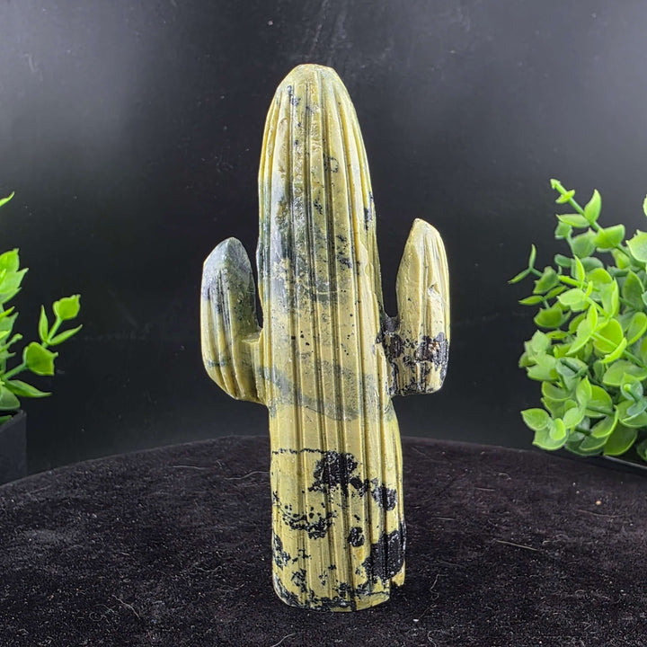Saguaro Cactus Carving from Peru