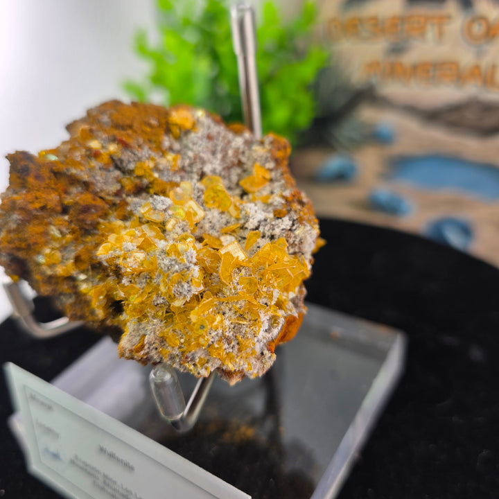 Vibrant Wulfenite specimen from Erupción-Ahumada Mine, Mexico, showcasing its distinct tetragonal crystal habit.