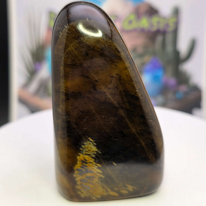 Polished Tiger's Eye freeform with golden chatoyancy, showcasing smooth surface and vibrant colors.