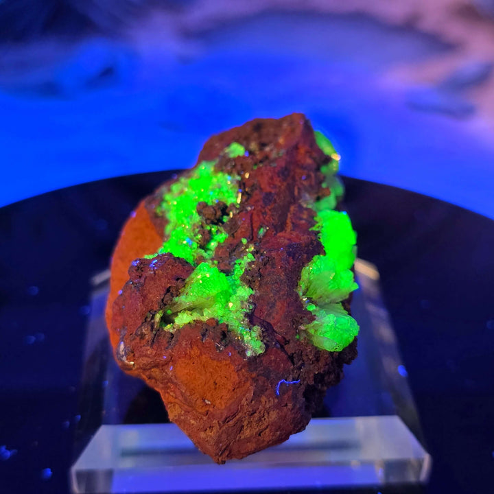 Vibrant Adamite Specimen from Ojuéla Mine exhibiting glowing green crystal formations.