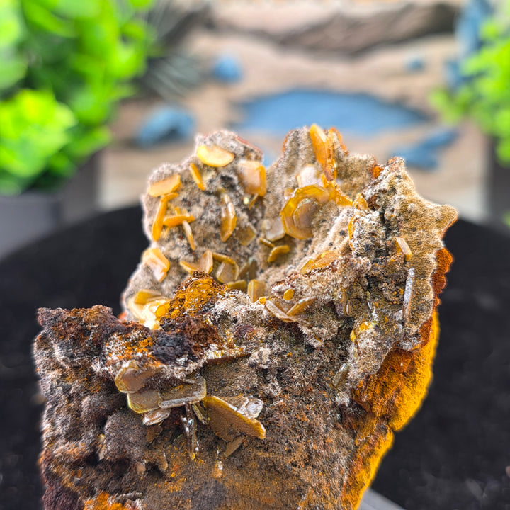 Vibrant Wulfenite specimen from the Erupción-Ahumada Mine in Mexico, showcasing classic tetragonal crystal habit.