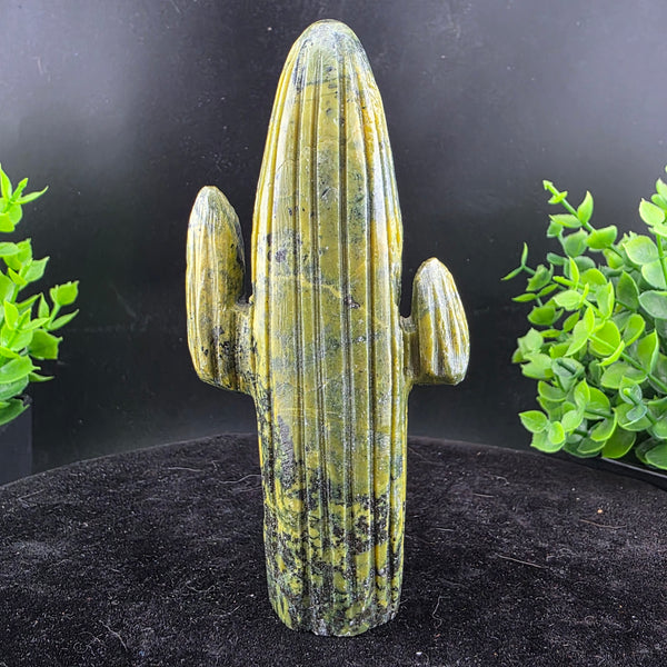 Saguaro Cactus Carving from Peru