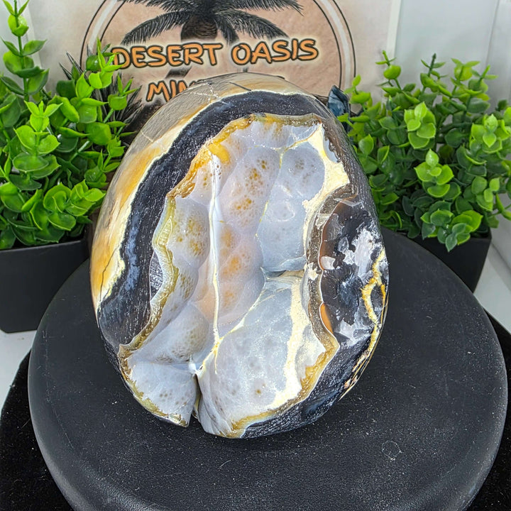 Volcano Agate Skull Carving - 4.5in