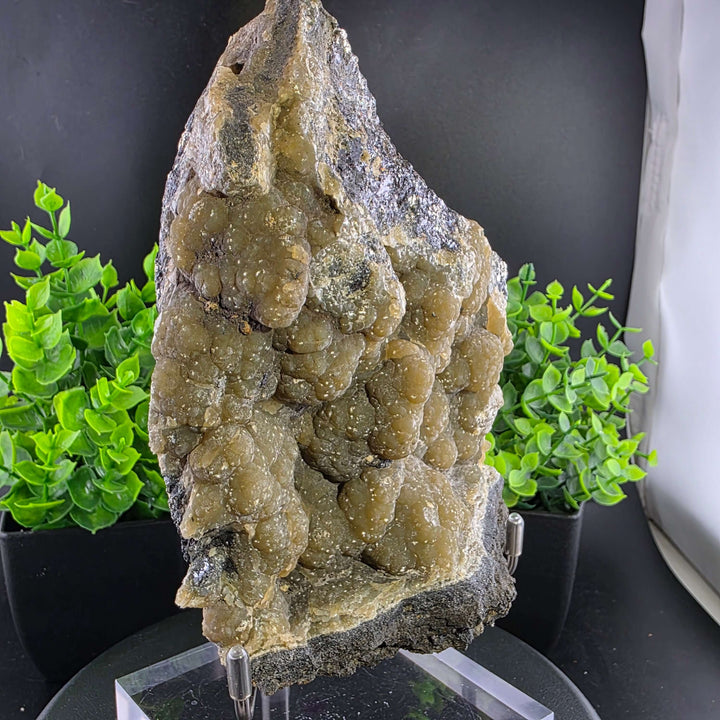 Smithsonite Specimen from Ojuela Mine