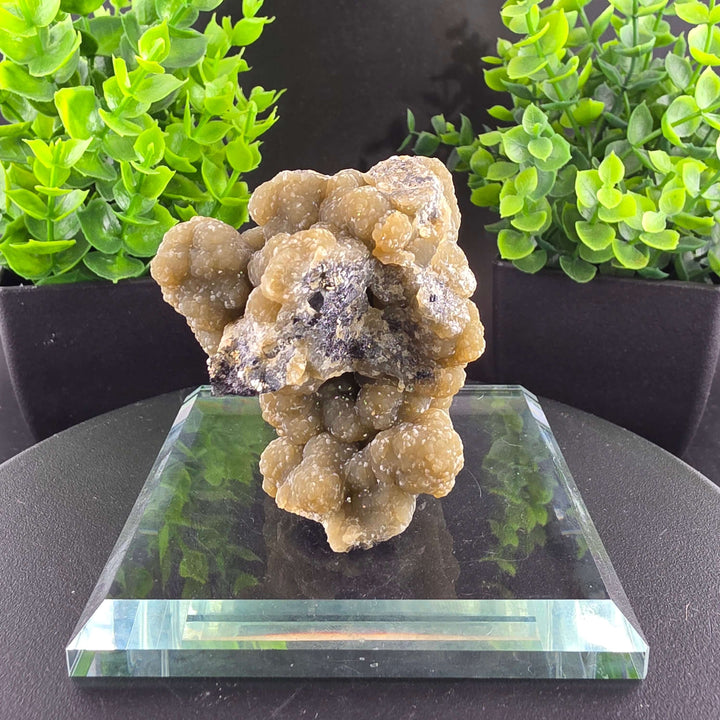 Smithsonite Specimen from Ojuela Mine