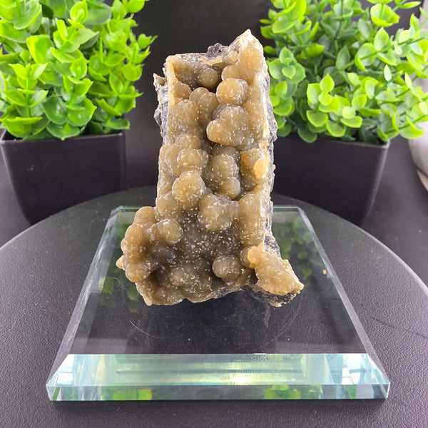Smithsonite Specimen from Ojuela Mine