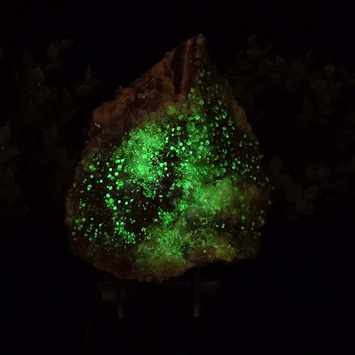 Red Hyalite Opal Specimen Mix from Ojuela Mine