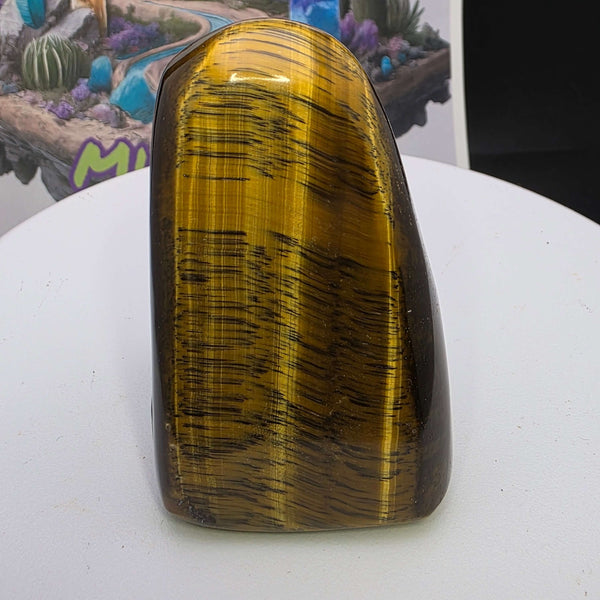 Polished Tiger's Eye freeform stone showcasing vibrant golden chatoyancy and smooth finish, perfect for display.