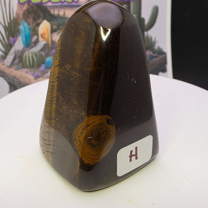 Polished Tiger's Eye freeform with golden chatoyancy, showcasing a smooth surface and vibrant colors.