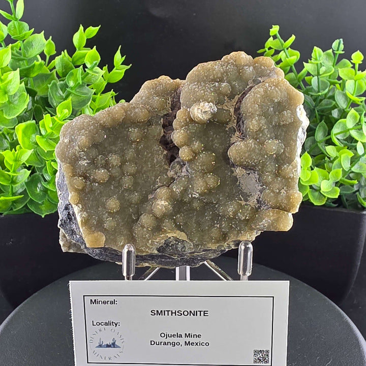 Smithsonite Specimen from Ojuela Mine