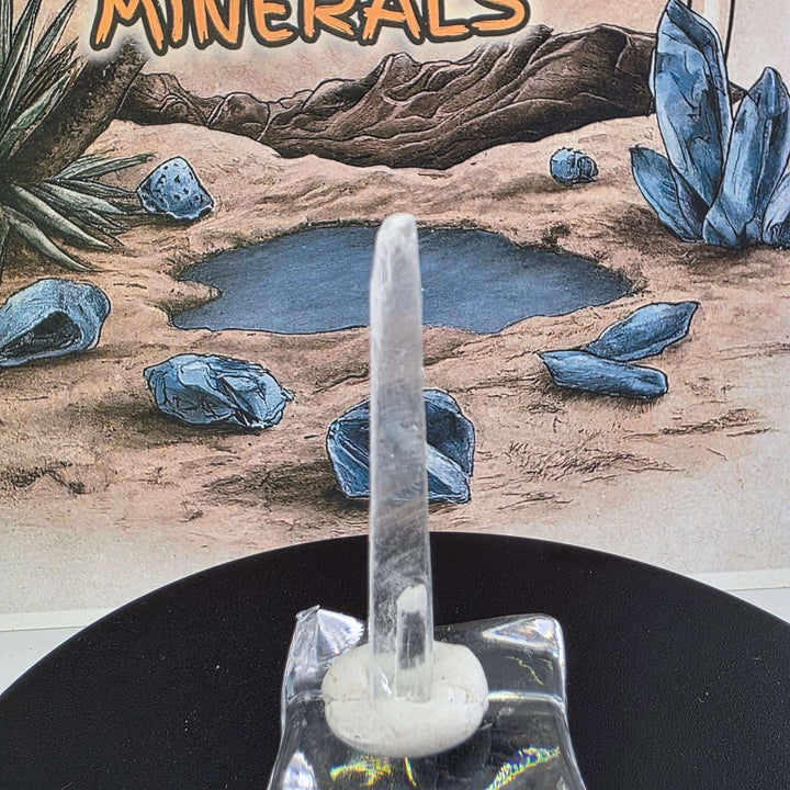 Nifontovite Specimen - Rey y Reina Mine Charcas Mexico displayed on a stand with minerals background.