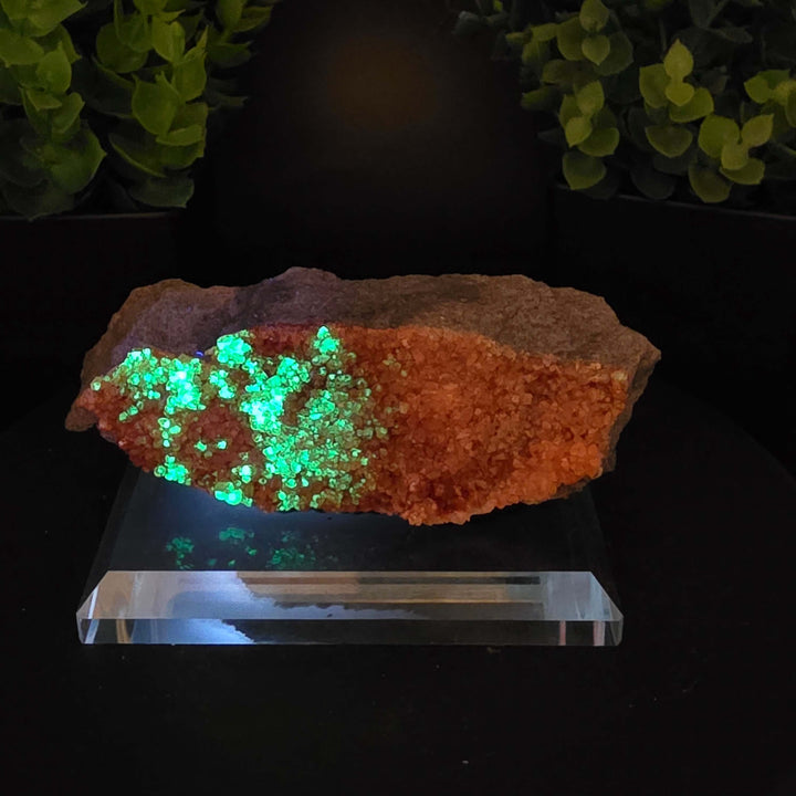 Red Hyalite Opal Specimen Mix from Ojuela Mine