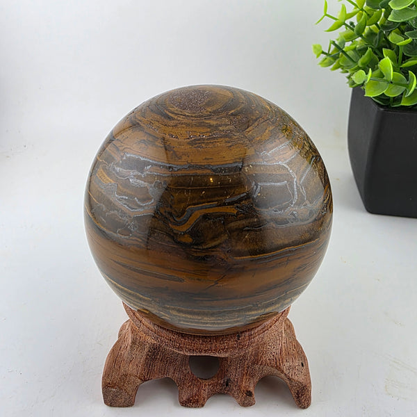 Tiger Iron Polished Sphere Ball - 3.2 Inch displayed on a wooden stand with decorative plants in the background.
